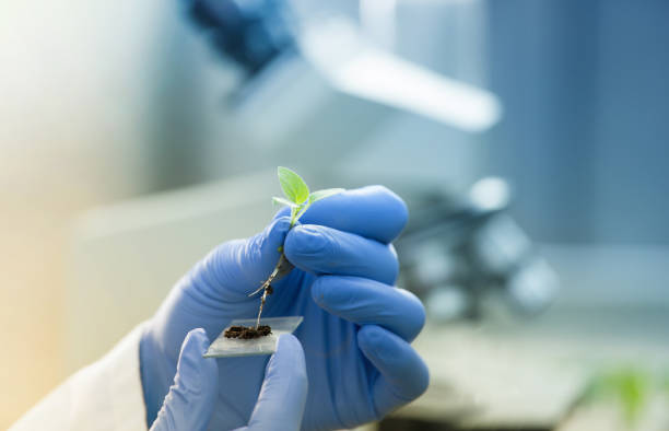 Research & Innovation